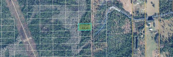 CHRISTMAS RD, Orlando, FL 32820