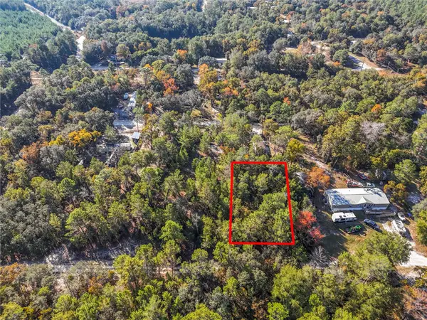 109 LUCAS ST, Satsuma, FL 32189
