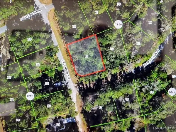 551 E ELGROVE DR, Citrus Springs, FL 34434