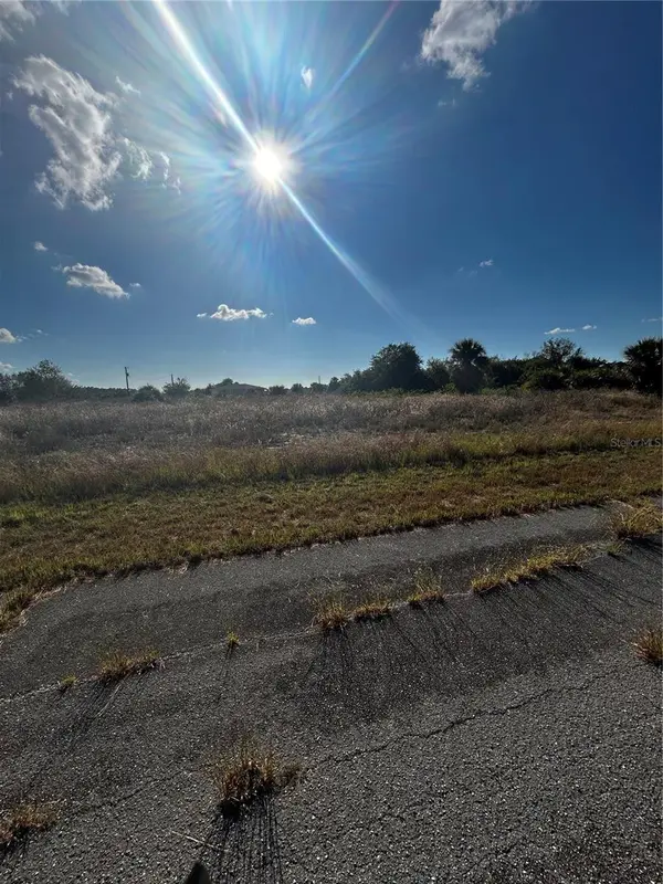 216 LEINSTER PL, Labelle, FL 33935
