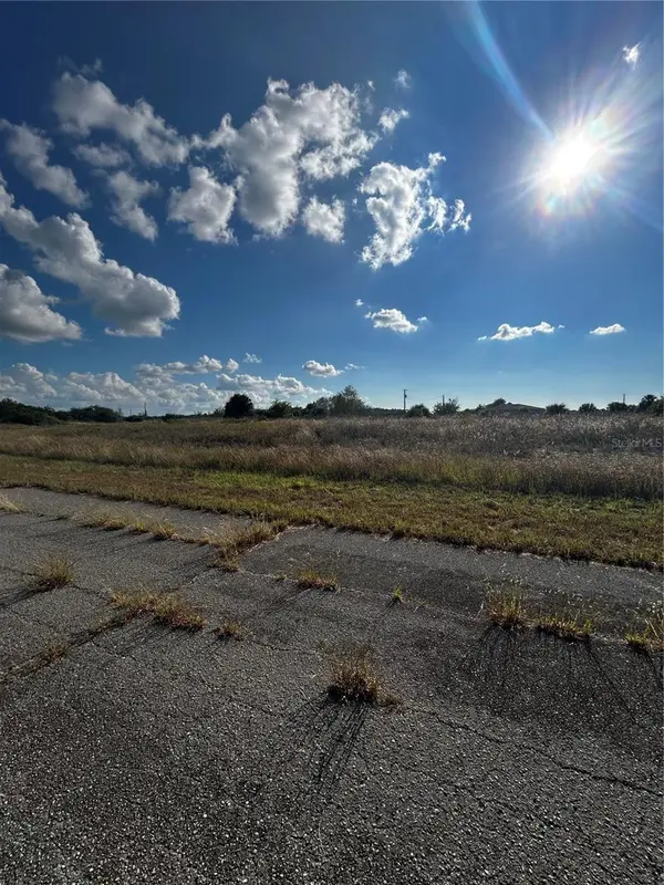 216 LEINSTER PL, Labelle, FL 33935