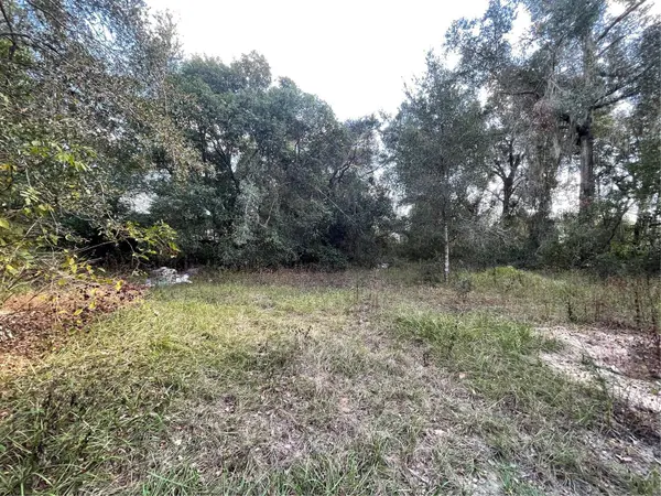 20180 SE 141ST ST, Umatilla, FL 32784