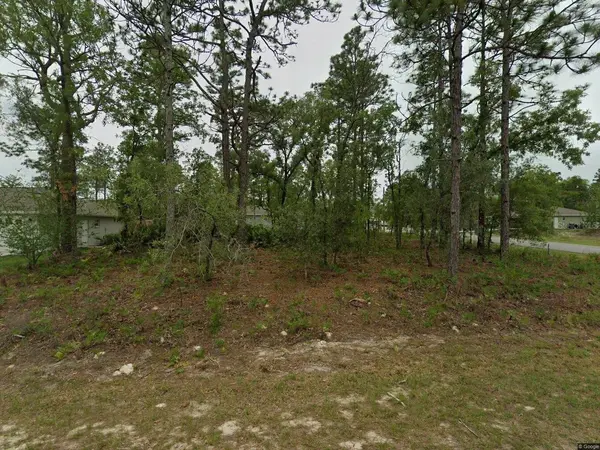 2084 W RILEY DR, Citrus Springs, FL 34434