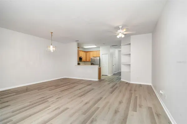 9317 STONE RIVER PL, Riverview, FL 33578