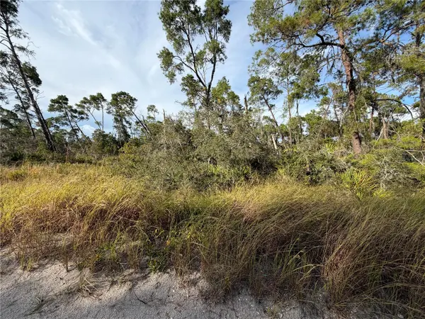 478 DARTER AVE, Sebring, FL 33870