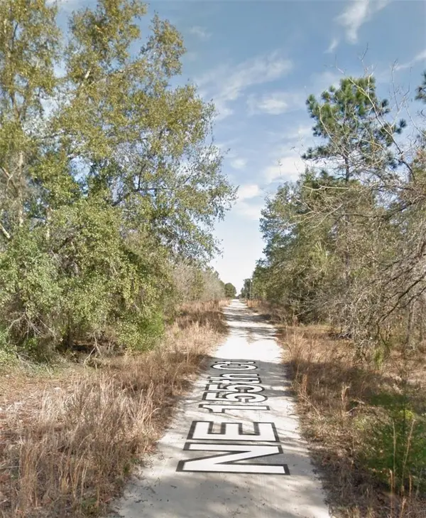 NE 155TH CT, Williston, FL 32696