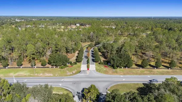 24250 DEEP SPRINGS LOOP, Eustis, FL 32736