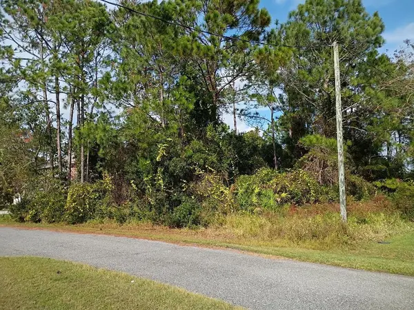 36 BUFFALO MEADOW LN, Palm Coast, FL 32137