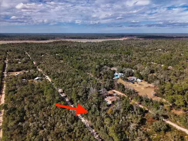 NE 233RD LN, Fort Mc Coy, FL 32134