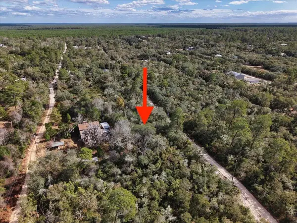 NE 233RD LN, Fort Mc Coy, FL 32134