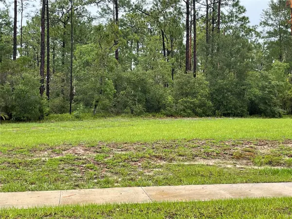 VIRGINIA (PAPER) AVE, Deltona, FL 32738
