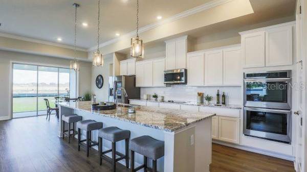 930 BUCKEYE DR, Lady Lake, FL 32159