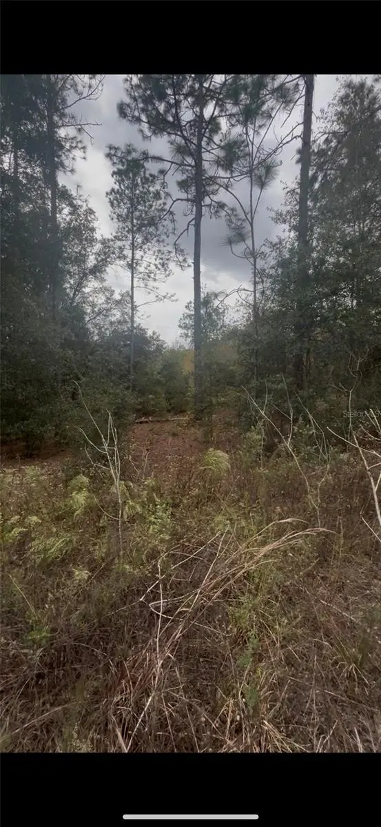 0 SW 21 PL, Ocala, FL 34481