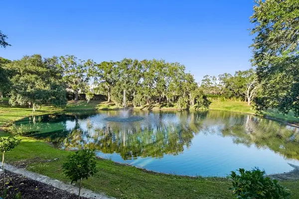 9725 CHESTNUT RIDGE DR, Windermere, FL 34786