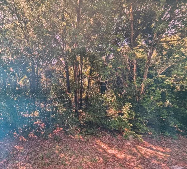 8973 N BEE WAY, Dunnellon, FL 34434