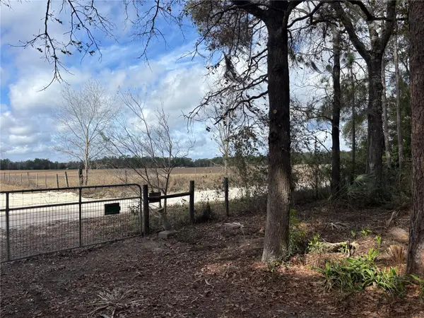 31 SE 190TH AVE, Old Town, FL 32680