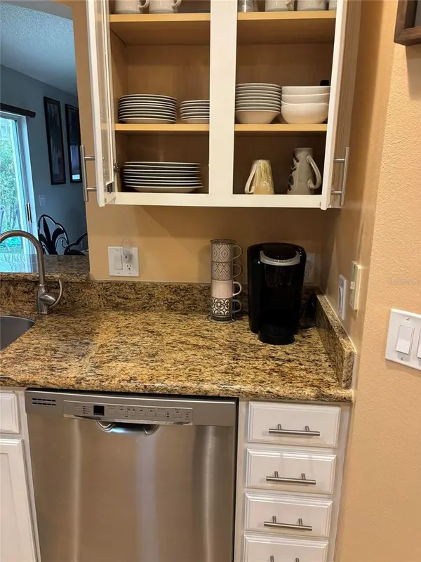 1069 BURNETTOWN PL, The Villages, FL 32162