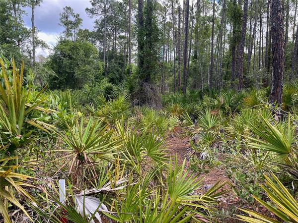 222 MARIE AVE, Georgetown, FL 32139