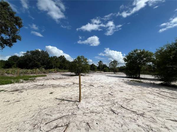 16916 NW 262ND ST, Okeechobee, FL 34972