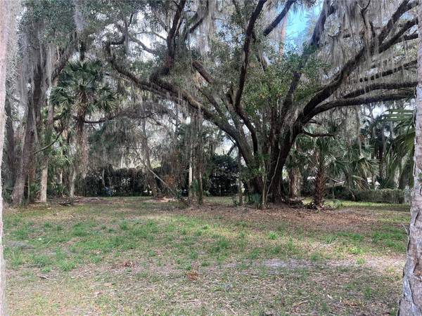 183RD AVE, Hawthorne, FL 32640