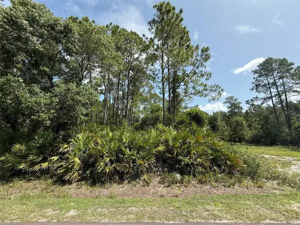 174 MILLICAN RD, Palatka, FL 32177