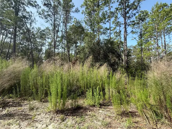 101 WASHINGTON AVE, Satsuma, FL 32189
