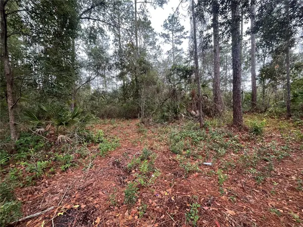 SUSAN ST, Interlachen, FL 32148
