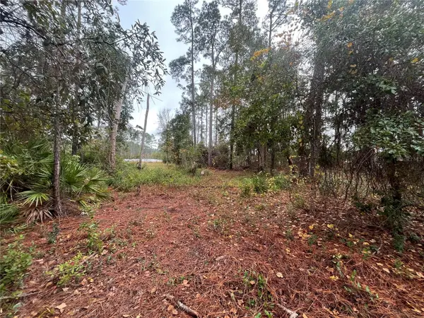 SUSAN ST, Interlachen, FL 32148