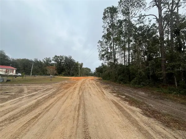 SUSAN ST, Interlachen, FL 32148
