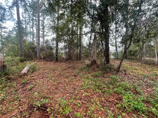 SUSAN ST, Interlachen, FL 32148