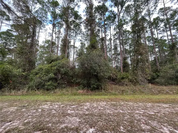 108 SE 5TH ST, Georgetown, FL 32139