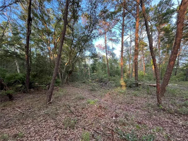 TBD TWIN LAKES RD, Interlachen, FL 32148