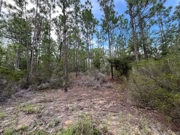 124 NEW YORK AVE, Interlachen, FL 32148