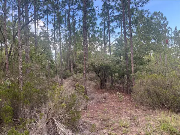 124 NEW YORK AVE, Interlachen, FL 32148