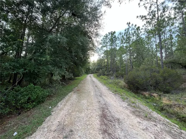 124 NEW YORK AVE, Interlachen, FL 32148