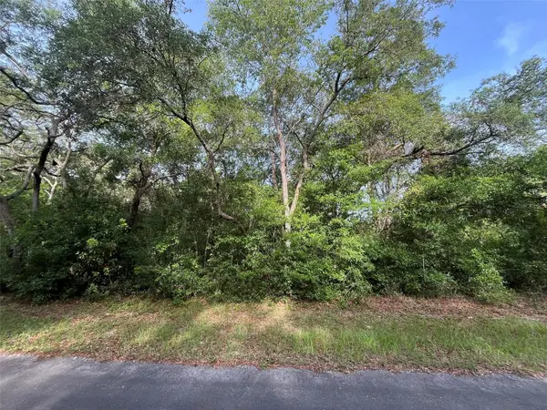 6634 N PAGODA TREE TER, Hernando, FL 34442