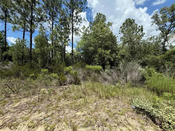 187 PARIS ST, Interlachen, FL 32148