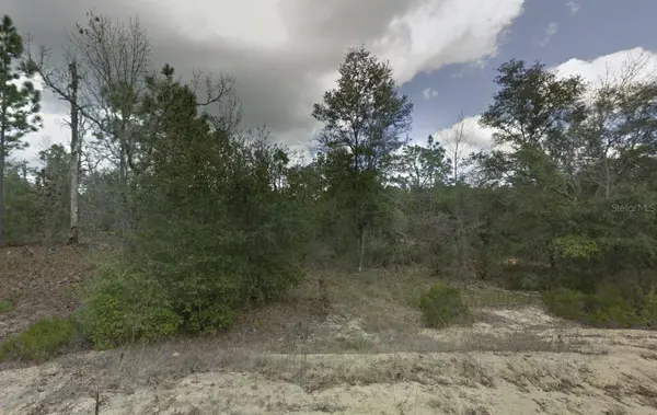 187 PARIS ST, Interlachen, FL 32148
