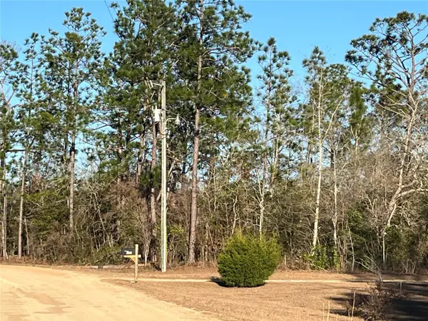 GOREVILLE AVE, Alford, FL 32420