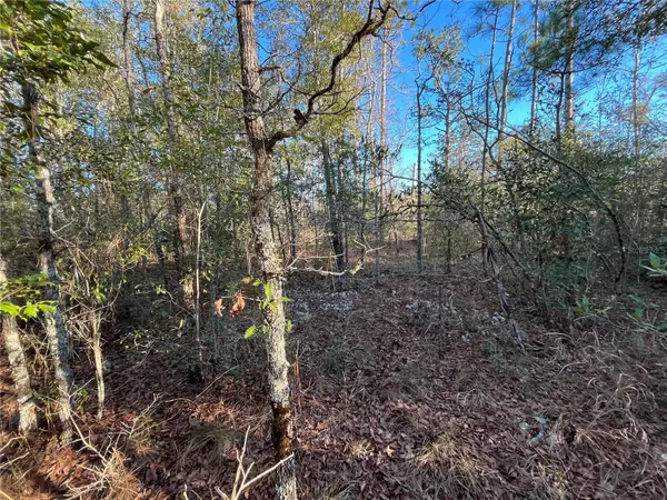 GOREVILLE AVE, Alford, FL 32420