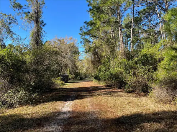 208 SE 3RD ST, Georgetown, FL 32139