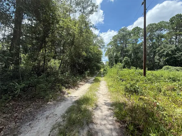 313 CALHOUN AVE, Florahome, FL 32140