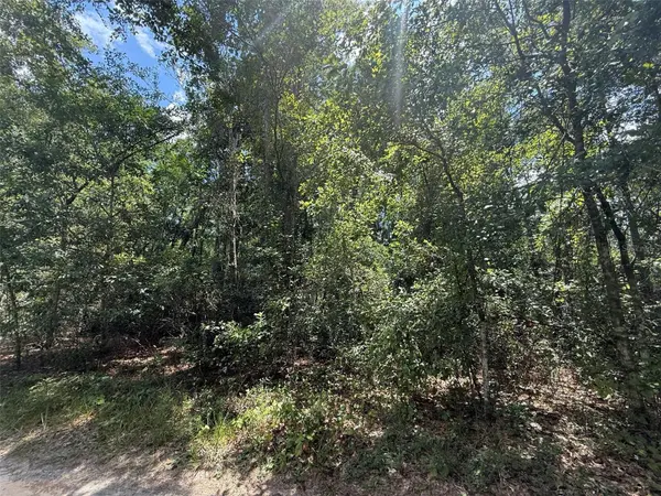 313 CALHOUN AVE, Florahome, FL 32140