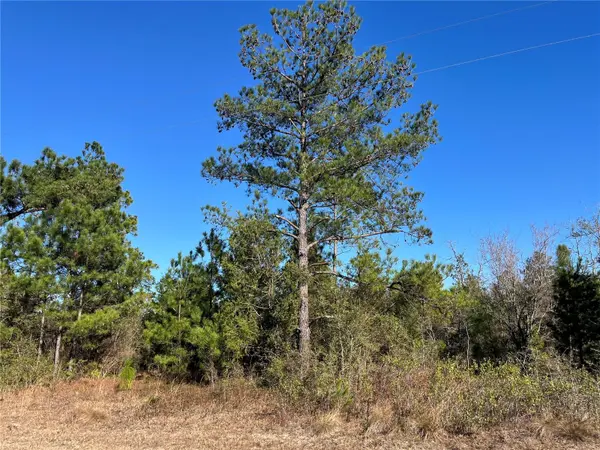 FAIRVIEW RD, Marianna, FL 32448