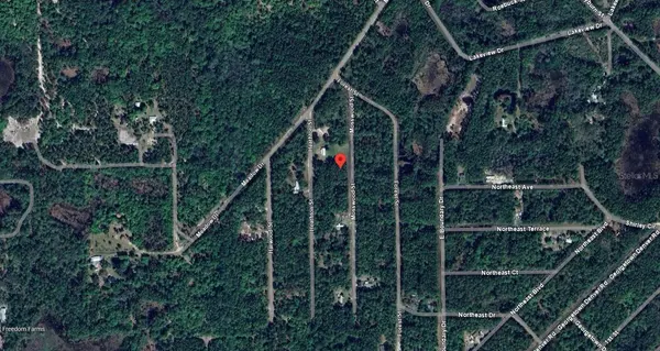 117 MOSSWOOD ST, Georgetown, FL 32139