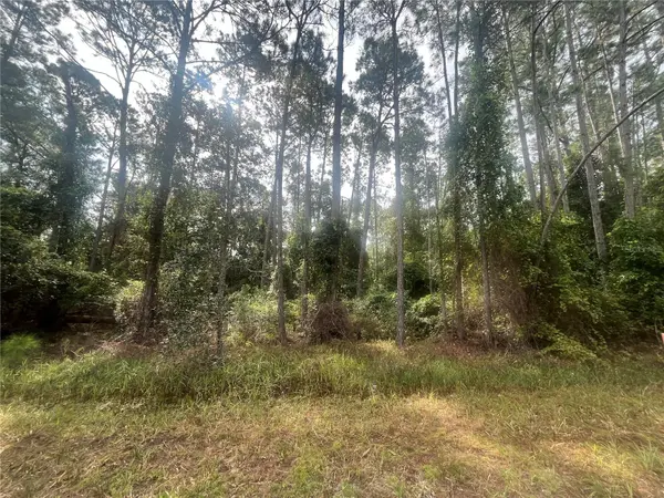 223 SE 2ND ST, Georgetown, FL 32139
