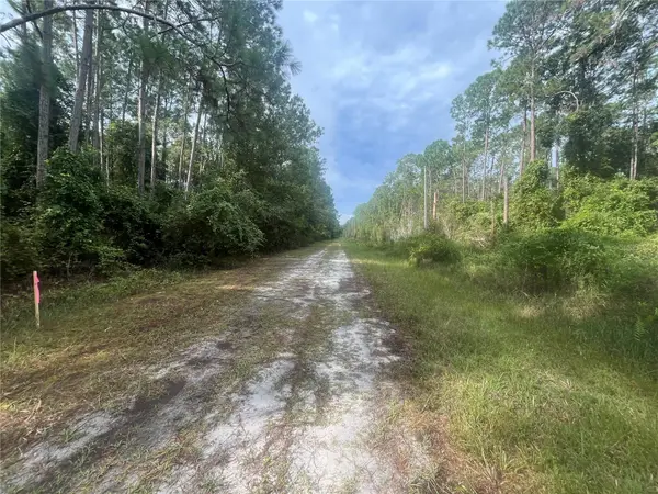 223 SE 2ND ST, Georgetown, FL 32139