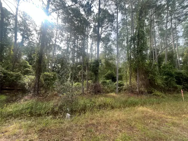 223 SE 2ND ST, Georgetown, FL 32139