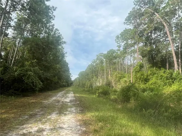 223 SE 2ND ST, Georgetown, FL 32139