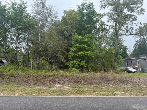 DAWN AVE, Interlachen, FL 32148